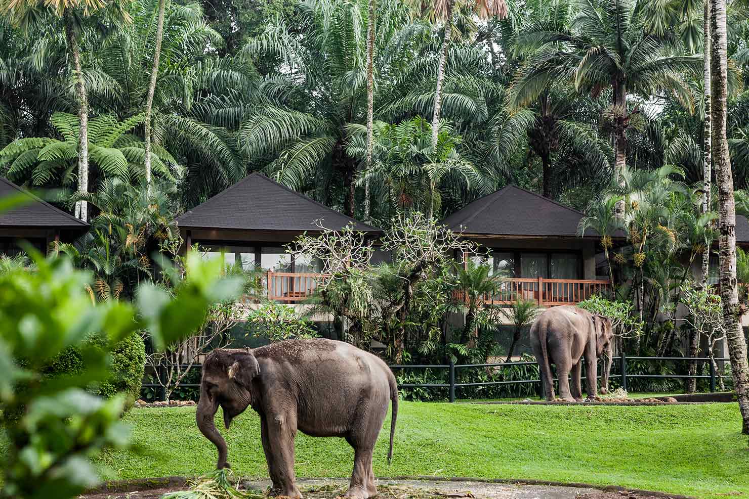 Elephant Park