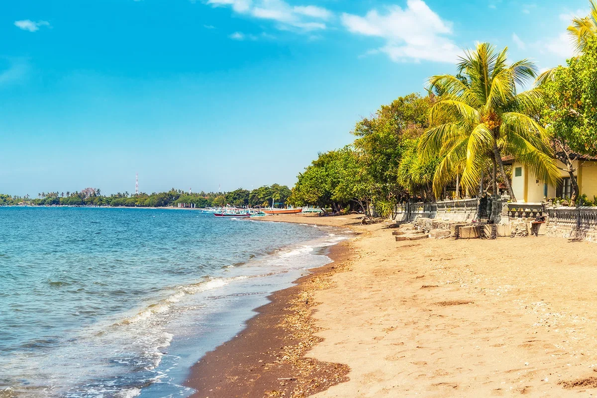 Lovina Beach & Dolphin Tour