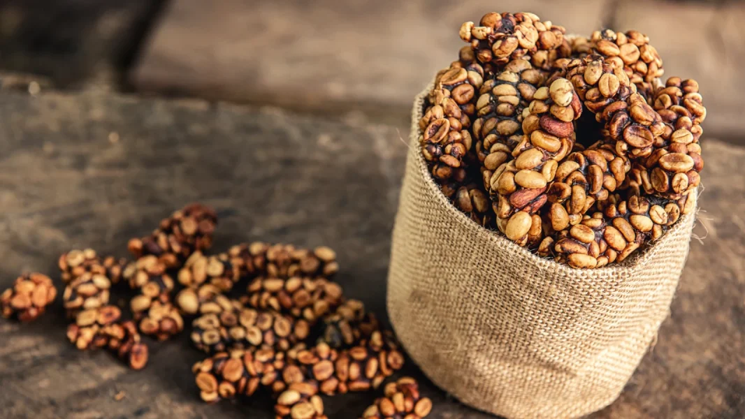 Luwak Coffee Plantation